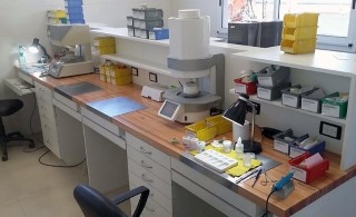 Laboratory 29